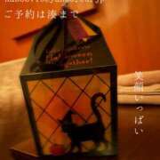 ヒメ日記 2026/10/20 07:19 投稿 湊かすみ ローテンブルク