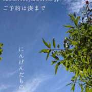 ヒメ日記 2026/10/23 09:09 投稿 湊かすみ ローテンブルク