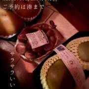 ヒメ日記 2026/10/24 09:15 投稿 湊かすみ ローテンブルク