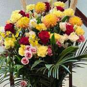 ヒメ日記 2025/03/07 07:27 投稿 安西めぐみ ローテンブルク