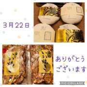 ヒメ日記 2025/03/22 21:47 投稿 安西めぐみ ローテンブルク