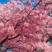 ヒメ日記 2025/03/25 17:12 投稿 安西めぐみ ローテンブルク