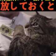 ヒメ日記 2025/07/23 07:02 投稿 安西めぐみ ローテンブルク