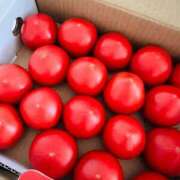 ヒメ日記 2025/08/04 07:01 投稿 安西めぐみ ローテンブルク