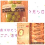 ヒメ日記 2025/09/06 09:21 投稿 安西めぐみ ローテンブルク