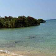 ヒメ日記 2025/10/15 10:40 投稿 安西めぐみ ローテンブルク