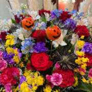 ヒメ日記 2025/10/31 09:34 投稿 安西めぐみ ローテンブルク