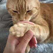 ヒメ日記 2025/12/03 07:32 投稿 安西めぐみ ローテンブルク