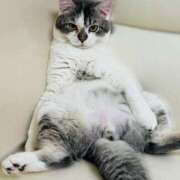 ヒメ日記 2025/12/05 21:40 投稿 安西めぐみ ローテンブルク