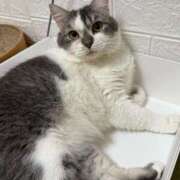 安西めぐみ 明日の出勤 ローテンブルク