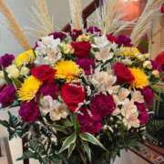 ヒメ日記 2026/01/20 07:33 投稿 安西めぐみ ローテンブルク