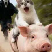 ヒメ日記 2026/01/24 07:34 投稿 安西めぐみ ローテンブルク