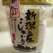 ヒメ日記 2026/01/31 10:57 投稿 安西めぐみ ローテンブルク