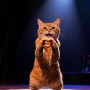 ヒメ日記 2026/02/17 07:29 投稿 安西めぐみ ローテンブルク