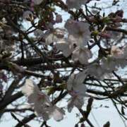 ヒメ日記 2026/03/22 16:49 投稿 安西めぐみ ローテンブルク