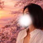 ヒメ日記 2026/04/06 19:27 投稿 安西めぐみ ローテンブルク