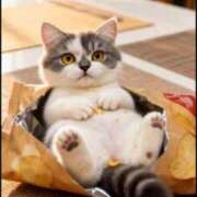 ヒメ日記 2026/04/10 07:23 投稿 安西めぐみ ローテンブルク