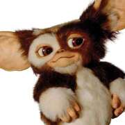 ヒメ日記 2024/12/12 22:39 投稿 さゆり ローテンブルク