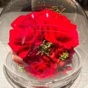 ヒメ日記 2024/12/18 21:46 投稿 さゆり ローテンブルク