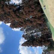 ヒメ日記 2025/02/17 15:01 投稿 さゆり ローテンブルク