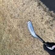 ヒメ日記 2025/02/17 16:37 投稿 さゆり ローテンブルク