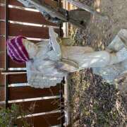 ヒメ日記 2025/02/27 15:58 投稿 さゆり ローテンブルク