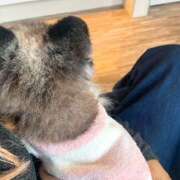 ヒメ日記 2025/03/01 09:31 投稿 さゆり ローテンブルク