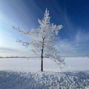 ヒメ日記 2025/03/08 06:34 投稿 さゆり ローテンブルク