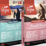 ヒメ日記 2025/03/17 12:59 投稿 さゆり ローテンブルク