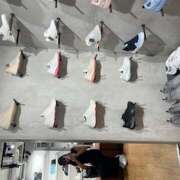 ヒメ日記 2025/03/23 13:47 投稿 さゆり ローテンブルク