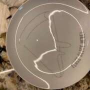 ヒメ日記 2025/03/28 15:36 投稿 さゆり ローテンブルク