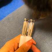 ヒメ日記 2025/04/05 09:10 投稿 さゆり ローテンブルク