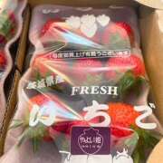 ヒメ日記 2025/04/10 06:51 投稿 さゆり ローテンブルク