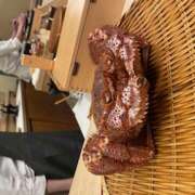 ヒメ日記 2025/04/10 10:41 投稿 さゆり ローテンブルク