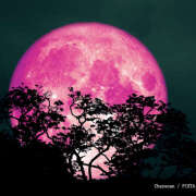 ヒメ日記 2025/04/12 21:04 投稿 さゆり ローテンブルク