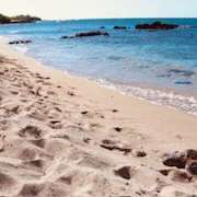 ヒメ日記 2025/04/16 23:32 投稿 さゆり ローテンブルク