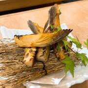 ヒメ日記 2025/04/19 06:47 投稿 さゆり ローテンブルク