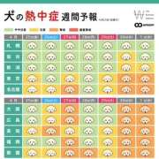 ヒメ日記 2025/04/25 04:13 投稿 さゆり ローテンブルク