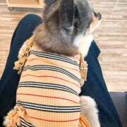 ヒメ日記 2025/05/02 11:43 投稿 さゆり ローテンブルク