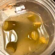 ヒメ日記 2025/05/11 19:58 投稿 さゆり ローテンブルク