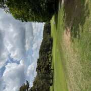 ヒメ日記 2025/05/15 11:33 投稿 さゆり ローテンブルク