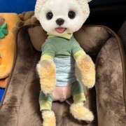 ヒメ日記 2025/05/18 11:07 投稿 さゆり ローテンブルク