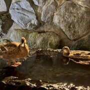 ヒメ日記 2025/06/06 05:40 投稿 さゆり ローテンブルク