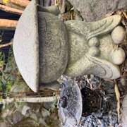 ヒメ日記 2025/06/07 06:34 投稿 さゆり ローテンブルク