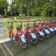 ヒメ日記 2025/06/19 07:32 投稿 さゆり ローテンブルク