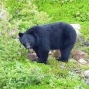 ヒメ日記 2025/07/16 19:55 投稿 さゆり ローテンブルク