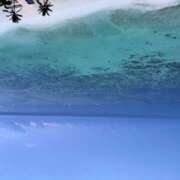 ヒメ日記 2025/07/19 04:59 投稿 さゆり ローテンブルク