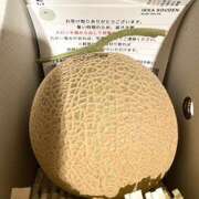 ヒメ日記 2025/07/27 20:55 投稿 さゆり ローテンブルク