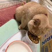 ヒメ日記 2025/07/30 07:09 投稿 さゆり ローテンブルク