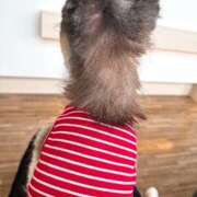 ヒメ日記 2025/08/09 09:48 投稿 さゆり ローテンブルク